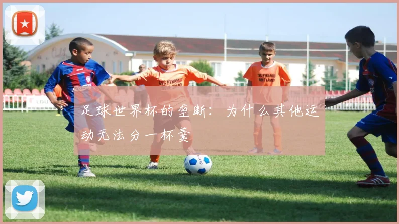 足球世界杯的垄断：为什么其他运动无法分一杯羹