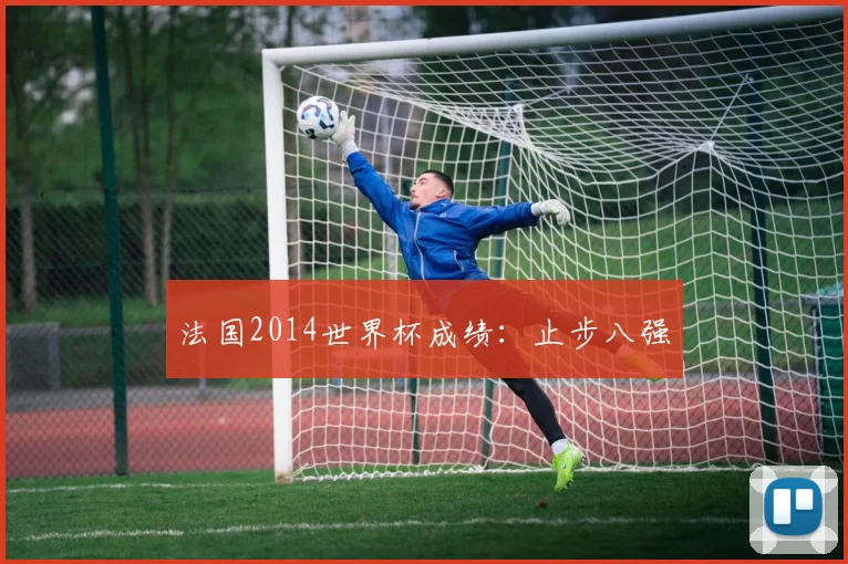 法国2014世界杯成绩:止步八强