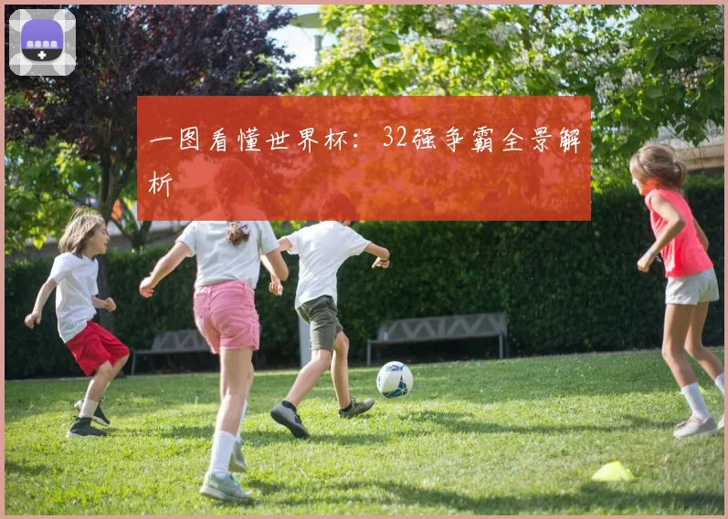 一图看懂世界杯:32强争霸全景解析