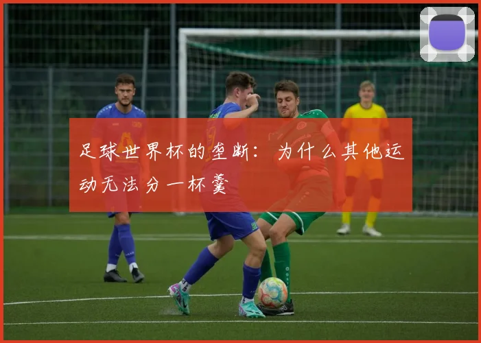 足球世界杯的垄断：为什么其他运动无法分一杯羹