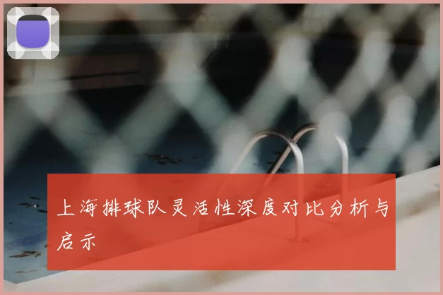 上海排球队灵活性深度对比分析与启示