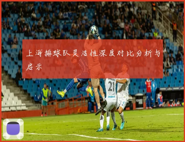 上海排球队灵活性深度对比分析与启示