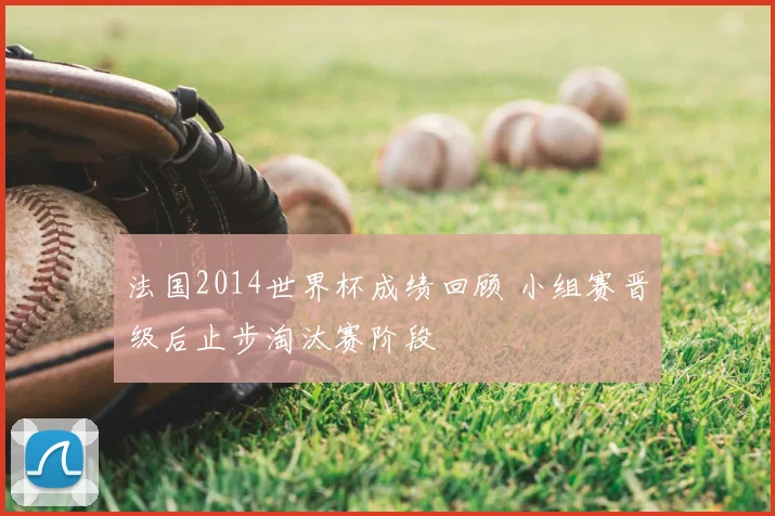 法国2014世界杯成绩回顾 小组赛晋级后止步淘汰赛阶段
