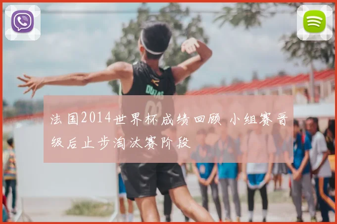 法国2014世界杯成绩回顾 小组赛晋级后止步淘汰赛阶段
