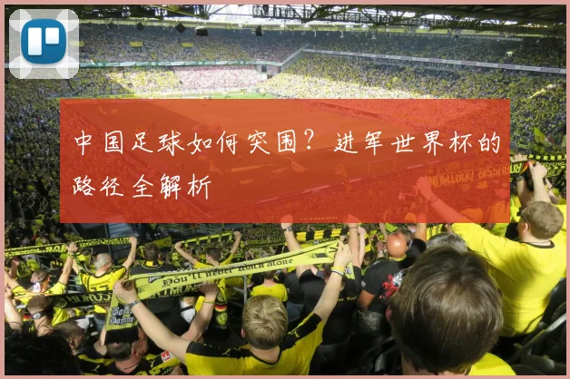 中国足球如何突围?进军世界杯的路径全解析