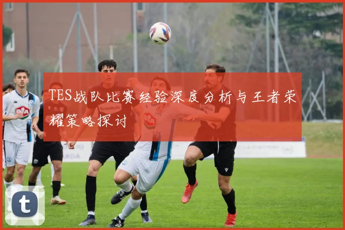TES战队比赛经验深度分析与王者荣耀策略探讨
