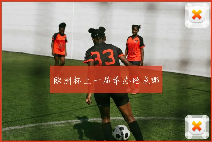 欧洲杯上一届举办地点哪