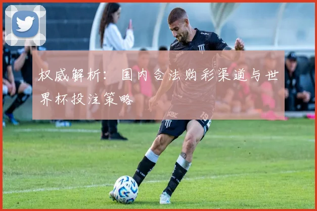 权威解析:国内合法购彩渠道与世界杯投注策略