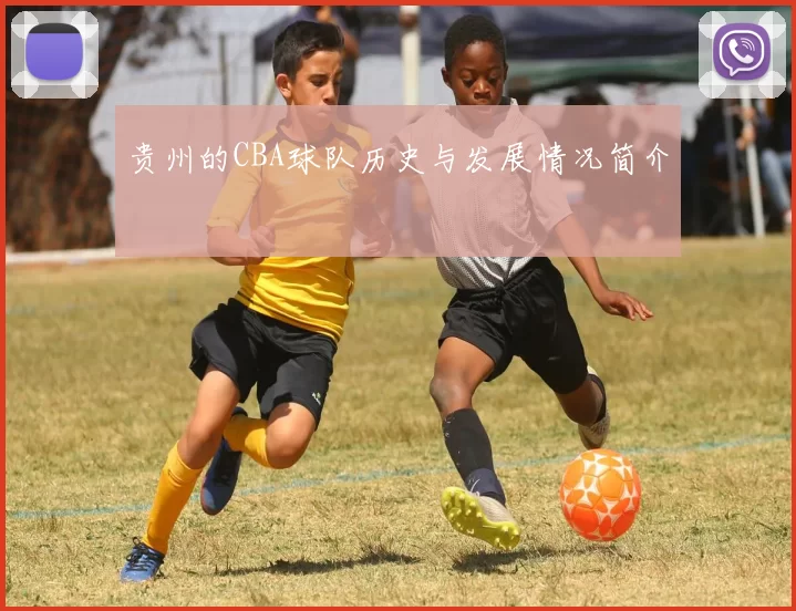 贵州的CBA球队历史与发展情况简介