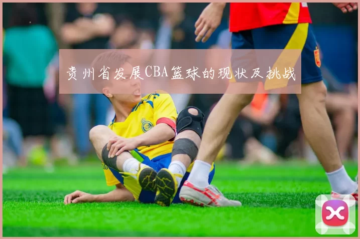 贵州省发展CBA篮球的现状及挑战