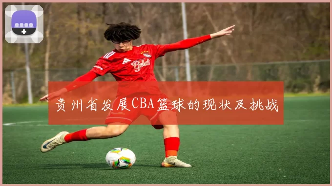 贵州省发展CBA篮球的现状及挑战