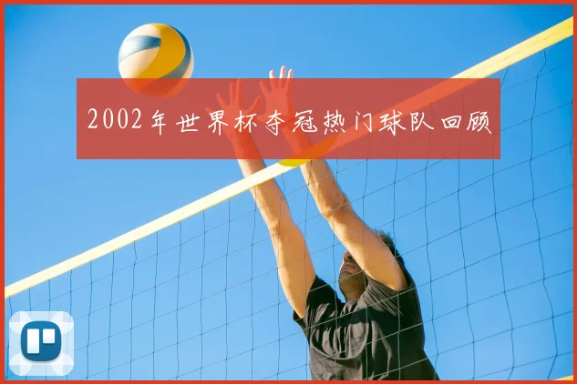 2002年世界杯夺冠热门球队回顾