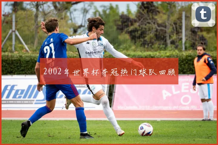 2002年世界杯夺冠热门球队回顾