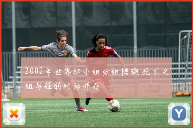 2002年世界杯小组分组揭晓 死亡之组与强弱对话并存
