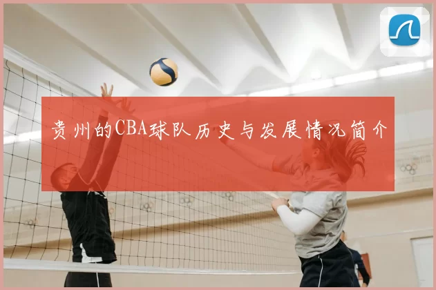贵州的CBA球队历史与发展情况简介