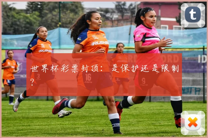 世界杯彩票封顶:是保护还是限制?
