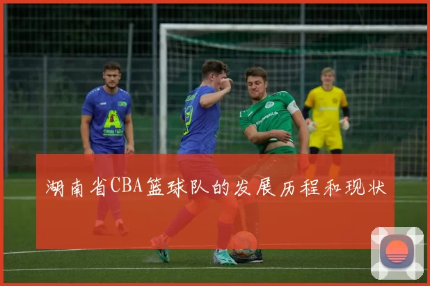 湖南省CBA篮球队的发展历程和现状