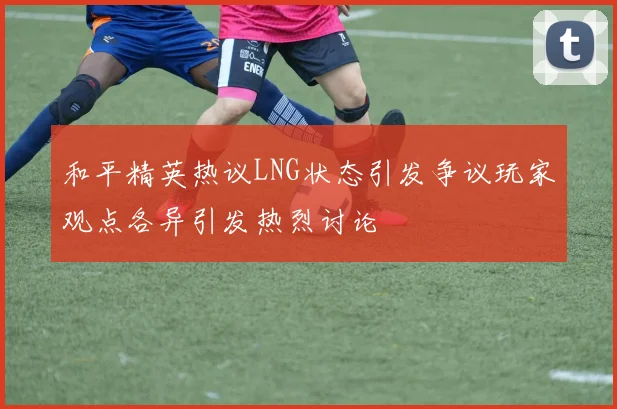 和平精英热议LNG状态引发争议玩家观点各异引发热烈讨论