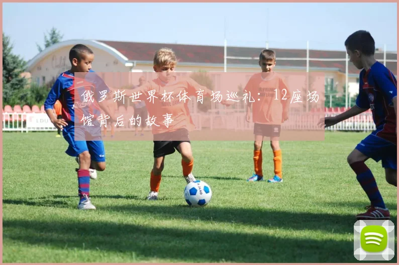 俄罗斯世界杯体育场巡礼：12座场馆背后的故事